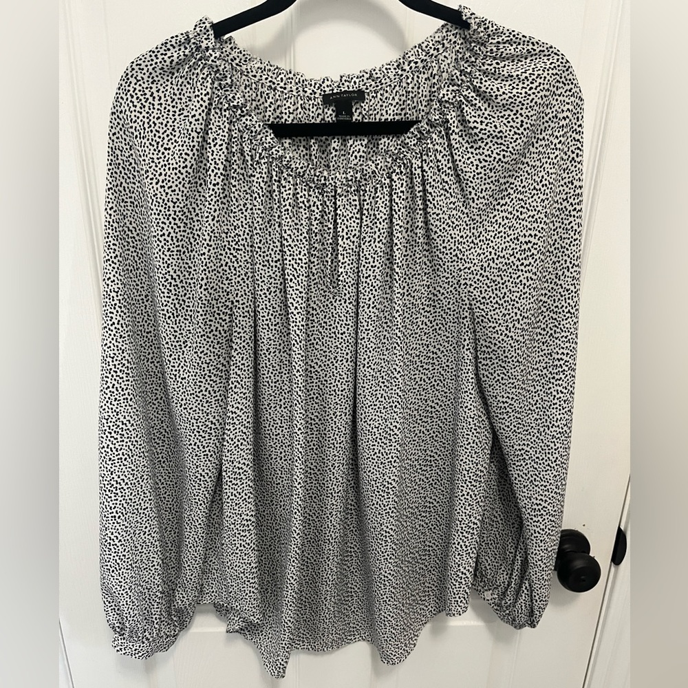 Shirt- Ann Taylor